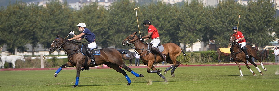 Polo