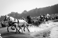 Driving - Marathon - ©Sindy Thomas