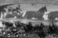 Driving - Marathon - ©Sindy Thomas