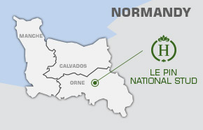 Haras National du Pin